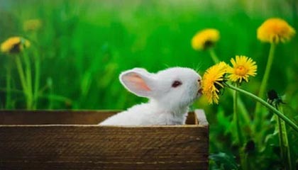 浙BA城市争霸赛精彩集锦：宁波队59-52力克普陀队